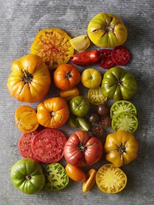 Heirloom tomato - Alchetron, The Free Social Encyclopedia