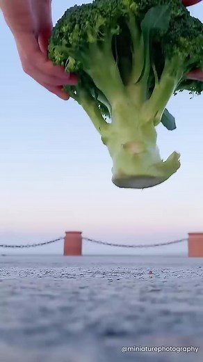 #miniatures #photography | miniature photography