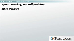 Hypoparathyroidism: Decreased Levels of Parathyroid Hormone