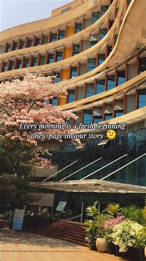 Morning Vibes 🌻.#viral #morning #shorts