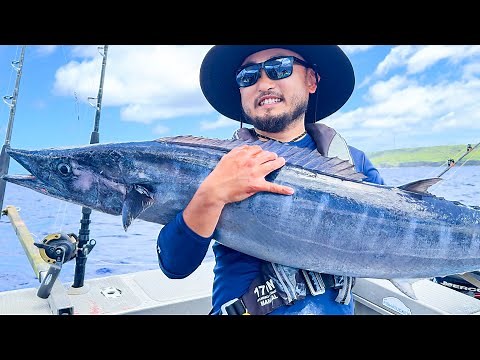 One of the BEST EATING FISH | Tropical Island Catch and Cook