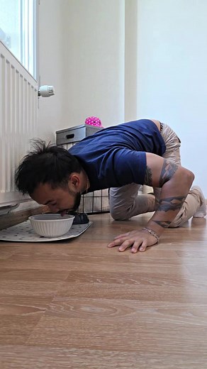 #chat #fontaineaeau #tiktokshop fontaine a eau pour animaux!!🥰😱🔥