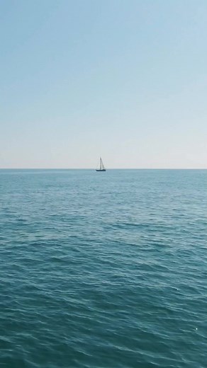 Our One Piece Fandom website comes out tomorrow! See comments! | One Piece - One Million Fans