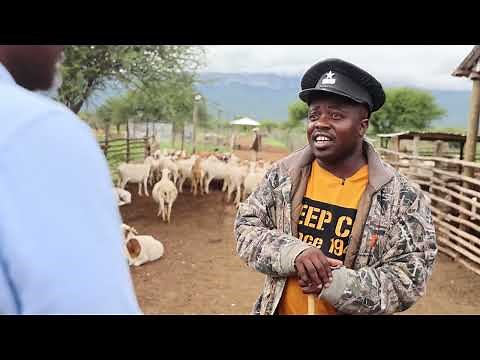 African Farming Season 3 Episode 7: Emmanuel Mudau (FULL EPISODE)