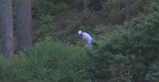 The Android User in every group chat