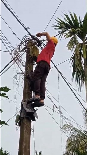 Distribution Box fault rectification work #electricalwork #shortvideo #distributionbox #fault #recti