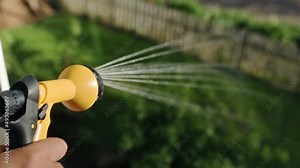 Watering the garden with water hose in summer backyard, green plants, grass and flowers