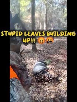 Feral hog extraction from the Big Thicket National Preserve. #hunting #hoghunting #wildlife