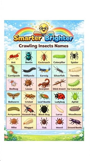 crawling insects names #crawlinginsectsnames #crawlinginsects #crawling #insects