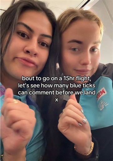 Blue Tick Comments Before 15 Hour Flight