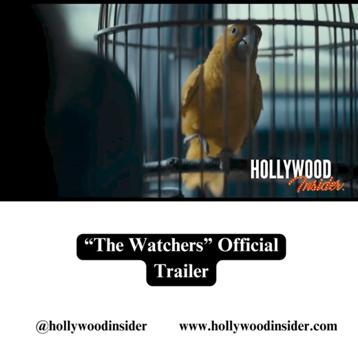 "The Watchers" Official Trailer | Full Video: https://buff.ly/4dcavKw | Hollywood Insider | #mnightshyamalan #horror #thriller #thewatcher #newmovie #upcoming #official #trailer #comingsoon #hollywood #trending | Hollywood Insider