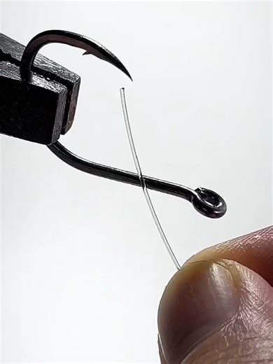 Mastering Fishing Knot Techniques for Every Angler