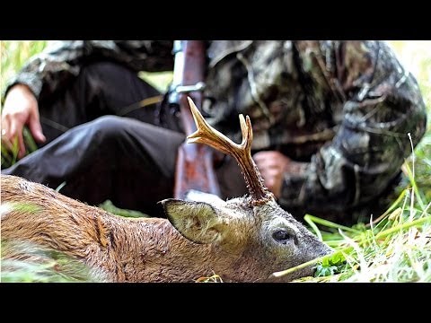 Mauser M 03 - The open sight hunter (English)
