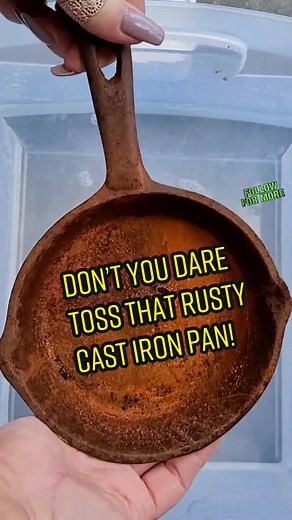 Southernescape on TikTok