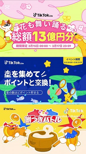 TikTok Liteでのアカウント切り替えエラー対処法