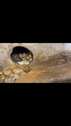 Every time it rained, this crawlspace flooded, and that was the problem. | Northwest Services Insulation and Landscaping