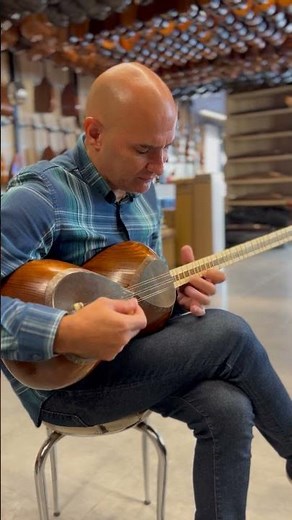 Persian Tar String Instrument By Delnavaz DPT-305