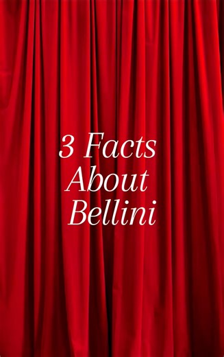 3 Facts About Bellini 🎭 | The Master of Italian Opera