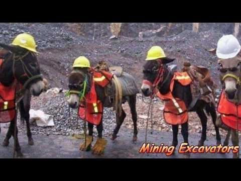 mining & construction funny moments