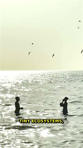 Nature's Secrets Revealed | Micro Ecosystems