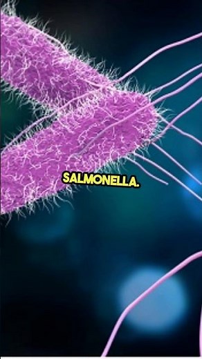 What Are the WARNING Signs of Salmonella Disease? #salmonellosis #symptoms