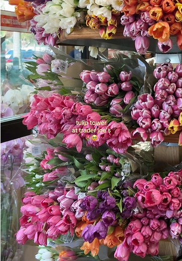 Trader Joe’s Tulip Tower: Gorgeous Spring Flower Finds