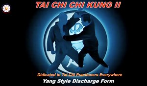 Mantak Chia Tai Chi 2 - Discharge Form with Fa Jing Elements 2-days Workshop (english)