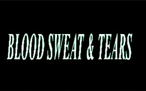 艾娃Ava Max 新单《Blood,Sweat & Tears》官方歌词版MV首播