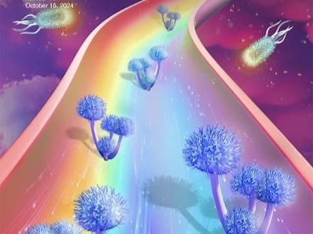 【Cell Press十月封面大赏：有没有你中意的呢？】Cell Press细胞出版社是爱思唯尔（Elsevier）公司旗下的出版机构，出版了超过60种科学期刊，涉及生命、物质、地球和健康科学。本月Cell Press旗下的期刊封面依然出现了许多不同的绘画类型，视频封面是本期Cell Reports Medicine封面。这篇封面研究描述了肠道真菌生物群的组成特征，展示了其与心脏代谢健康的关系