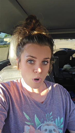 Can you make money breeding cats | Action Farms Maine Coons