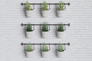 How to start a wall-hanging herb garden today for great tasting dishes tomorrow