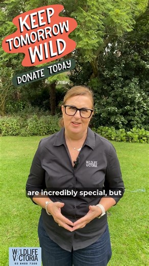 2.5K views · 26 reactions |  Our native animals are under...