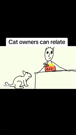 Funny Cat Animation: Relatable Moments for Cat Owners
