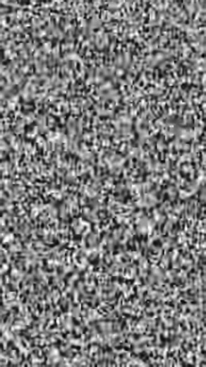 LightningCollector2021 on Instagram: "I recently started collecting the WWE Ultimate edition & the WWE Elite collection figures. I’m really enjoying these lately so had to pick up the Wyatt Sicks pack to complete the team and they did not disappoint! #WWE #WWEUltimateEdition #wweelitecollection #wwematel #ringsidecollectibles"