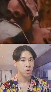 2.1K views · 18 reactions | Join us on a fascinating journey to North...