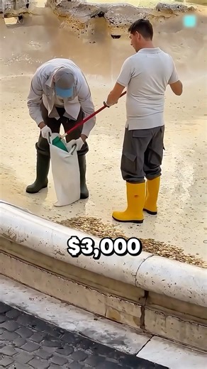 Tourists Are Swiping Credit Cards Into Rome’s Famous Fountain