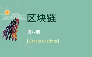 【Oracle Exadata】区块链