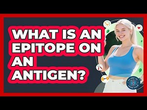 What Is An Epitope On An Antigen? - All About the Immune System