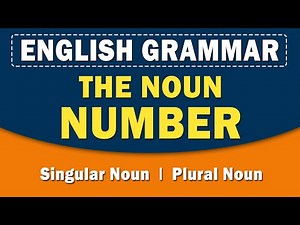 The Noun Number | English Grammar | Learn with examples | Home Revise