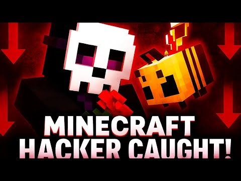 The Hive Community's Unknown Hacker