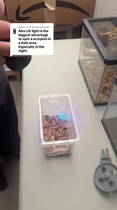 Scorpions glowing under UV light might seem like a party trick, but it’s actually a key part of how they survive. Their glow isn’t just random, it's tied to their hunting strategy. As ambush predators, they use the faint bioluminescence in their exoskeleton to lure UV-sensitive insects like crickets. It’s one of the desert’s most subtle, and deadly, traps. This trait also makes scorpions easy to spot with a UV flashlight, which is why we always recommend homeowners use one during nighttime inspe