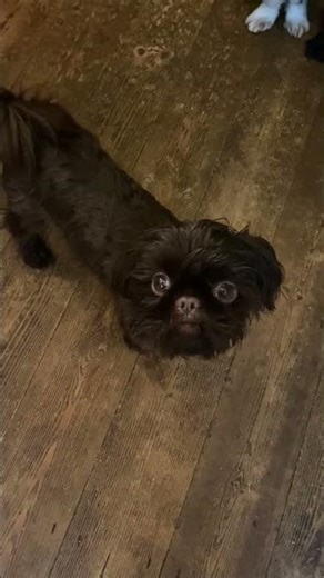 welcome to my channel