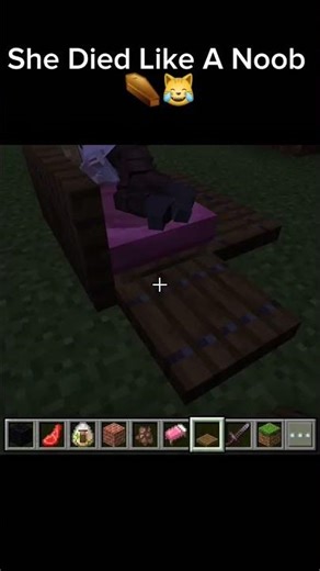 Villager Coffin Experiment in Minecraft 😂 | Funny Trapdoor Trick