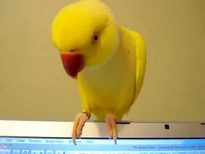 Bowie talking - Such a Sweetie Pie :)