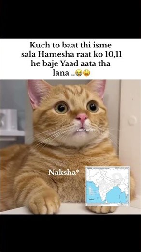 Naksha#tweetreels#aesthetic#lofichill #brokenheart#sadquotes#sad #lofimusic#thoughts#aestheticstatus