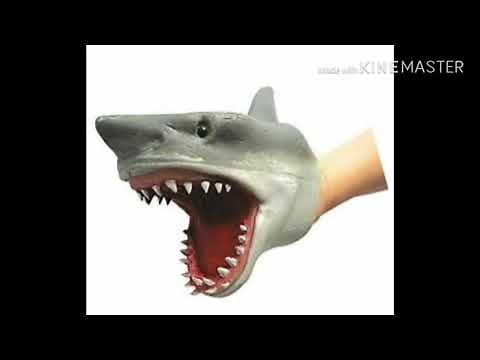 Shark puppet screaming sound effect