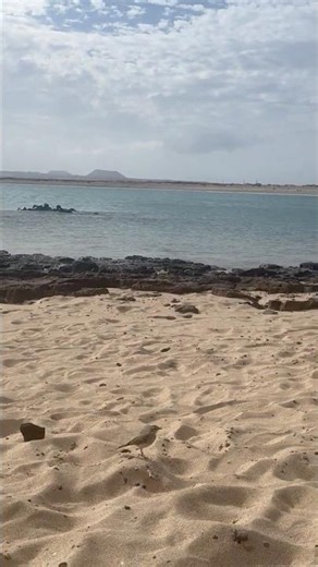 The Secret Island Near Fuerteventura: Lobos Island Adventure