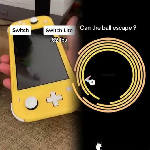 Nintendo Switch vs Switch Lite