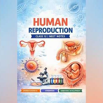 #Neet 🎯 human reproduction class 12th🎯 Neet notes🎯