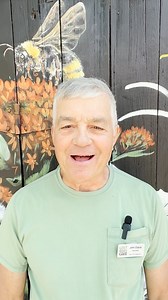 4K views · 20 reactions | Think all bees wait for spring? Think...